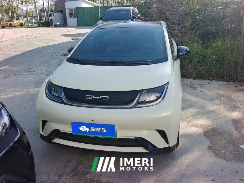 BYD Dolphin 420km Stylish Edition - car from China