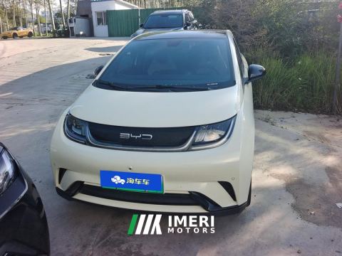 2023 BYD Dolphin 420km Stylish Edition - автомобиль из Китая