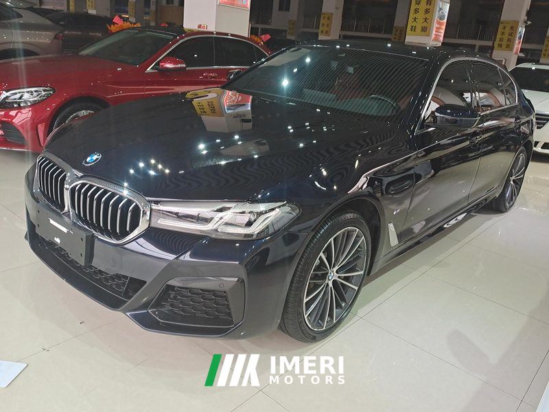 BMW 5 Series 530Li Leading Luxury Package - автомобиль из Китая
