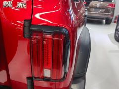 Tank 300 Off-Road Edition 2.0T Conqueror - ფოტო 5