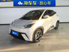 BYD Seagull 405km Flying Edition - ფოტო 1