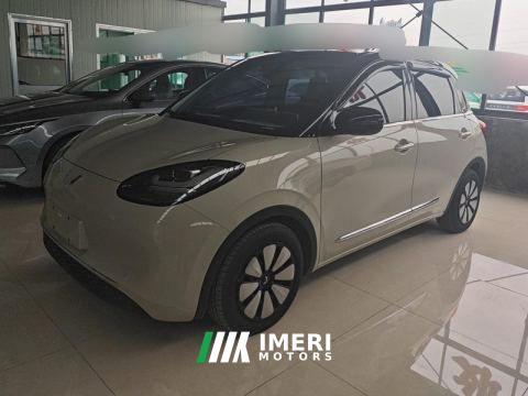 2023 Wuling Bingo Binguo 203km Comfort Edition - ავტომობილი ჩინეთიდან
