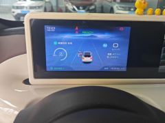 Wuling Bingo Binguo 203km Comfort Edition - ფოტო 20
