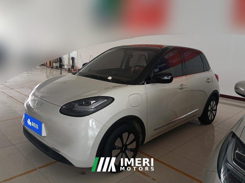 Wuling Bingo Binguo 333km Joy Edition - car from China