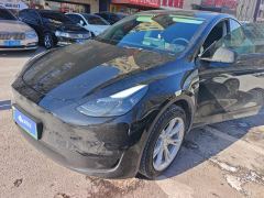 Tesla Model Y 545km Rear-Wheel Drive Edition - ფოტო 1