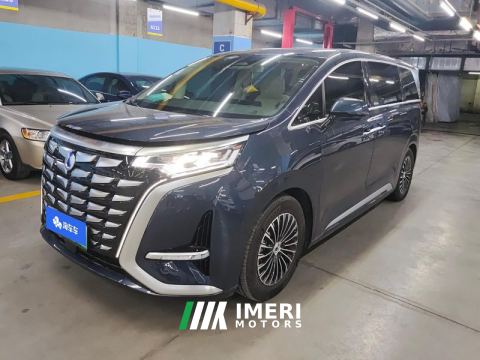 2024 Denza D9 DM-i 1.5T 190km AWD Version 7 - ავტომობილი ჩინეთიდან