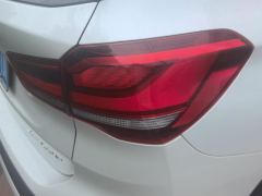 BMW X1 xDrive25Li Luxury - ფოტო 5