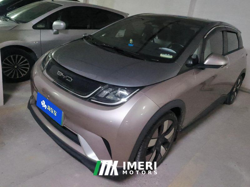 BYD Dolphin 401km Knight Edition - car from China