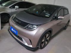 BYD Dolphin 401km Knight Edition - photo 1