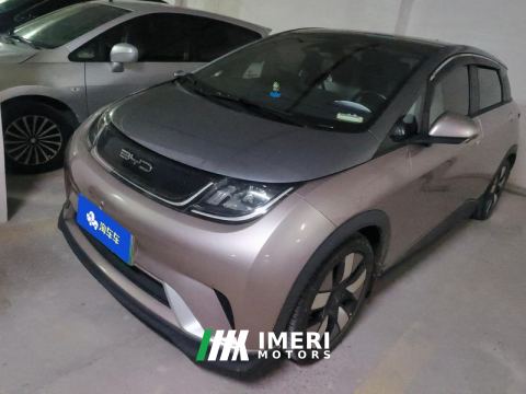 2021 BYD Dolphin 401km Knight Edition - ავტომობილი ჩინეთიდან