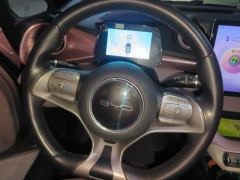 BYD Dolphin 401km Knight Edition - photo 18