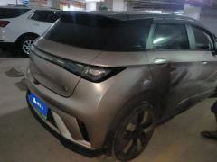BYD Dolphin 401km Knight Edition - photo 2