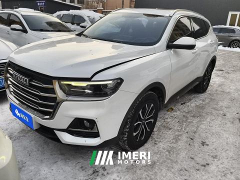 2021 Haval H6 Guochao Edition 1.5T 2WD Urban Edition - car from China
