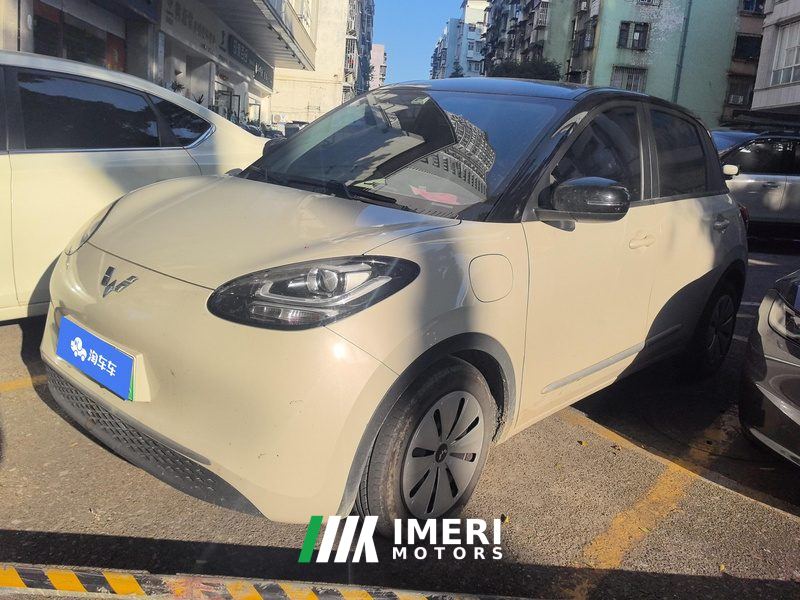 Wuling Bingo Binguo 333km Quick Enjoy Edition - car from China