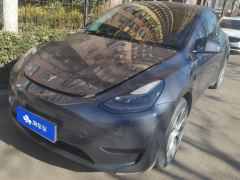 Tesla Model Y 545km Rear-Wheel Drive Edition - ფოტო 1