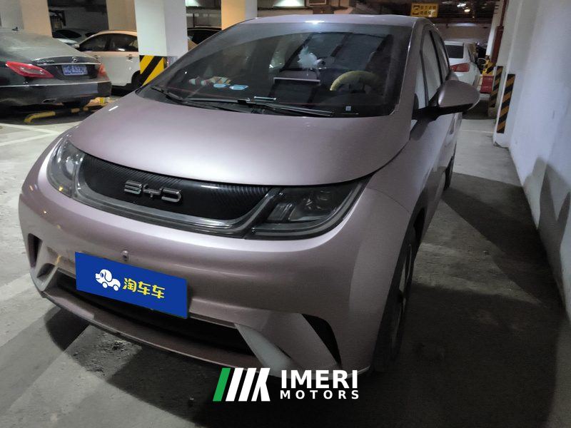 BYD Dolphin 420km Free Version - ავტომობილი ჩინეთიდან