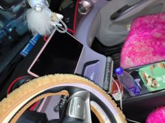 BYD Dolphin 420km Free Version - ფოტო 11