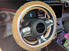 BYD Dolphin 420km Free Version - ფოტო 12