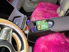 BYD Dolphin 420km Free Version - ფოტო 13