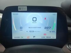 BYD Dolphin 420km Free Version - ფოტო 14