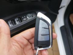 BYD Dolphin 420km Free Version - ფოტო 19