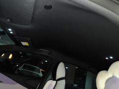 BYD Dolphin 420km Free Version - ფოტო 9