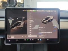 Tesla Model 3 556km Rear-Wheel Drive Edition - ფოტო 20