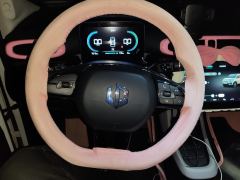Leapmotor T03 403km 403 Edition - ფოტო 12