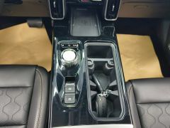 Haval Great Wall Big Dog Great Wall Dog 1.5T 2WD Edge Pastoral Edition - photo 19