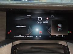 Tank 300 Off-Road Edition 2.0T Challenger - ფოტო 20