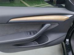 Tesla Model 3 Standard Range Edition 3D6 - ფოტო 13