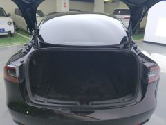 Tesla Model 3 Standard Range Edition 3D6 - ფოტო 7