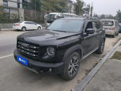 Haval Great Wall Big Dog Great Wall Dog 2.0T Two-wheel drive Chinese hunting dog version - фото 1