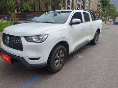 Great Wall Cannon Edition 2.0T AWD Version - ფოტო 1