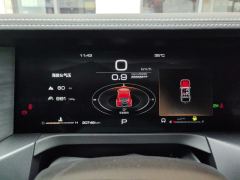 Tank 300 Off-Road Edition 2.0T Conqueror - ფოტო 20