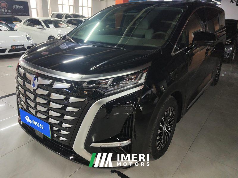 Denza D9 DM-i 1040 Premium - car from China