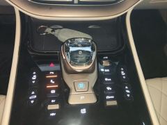 Denza D9 DM-i 1040 Premium - photo 19