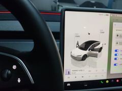 Tesla Model 3 606km Rear-Wheel Drive Edition - ფოტო 19
