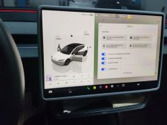 Tesla Model 3 606km Rear-Wheel Drive Edition - ფოტო 20