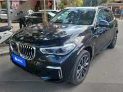 BMW X5 xDrive30Li Deluxe VersionM - ფოტო 1