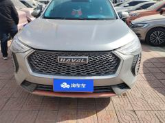 Haval Chulian 1.5T Edition - ფოტო 3