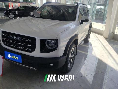 2021 Haval Great Wall Big Dog Great Wall Dog 1.5T Two-wheel drive Labrador version - ავტომობილი ჩინეთიდან