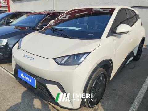 2023 BYD Seagull 305km Vitality Edition - автомобиль из Китая