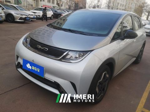 2021 BYD Dolphin 405km Free Version - автомобиль из Китая