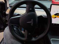 Tesla Model 3 Standard Range Edition 3D6 - ფოტო 18