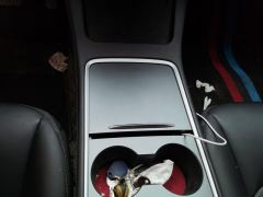 Tesla Model 3 Standard Range Edition 3D6 - ფოტო 19