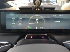 HiPhi X Flagship Edition 4-seater - photo 20