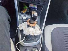 Volkswagen Polo Plus 1.5L Edition - ფოტო 19
