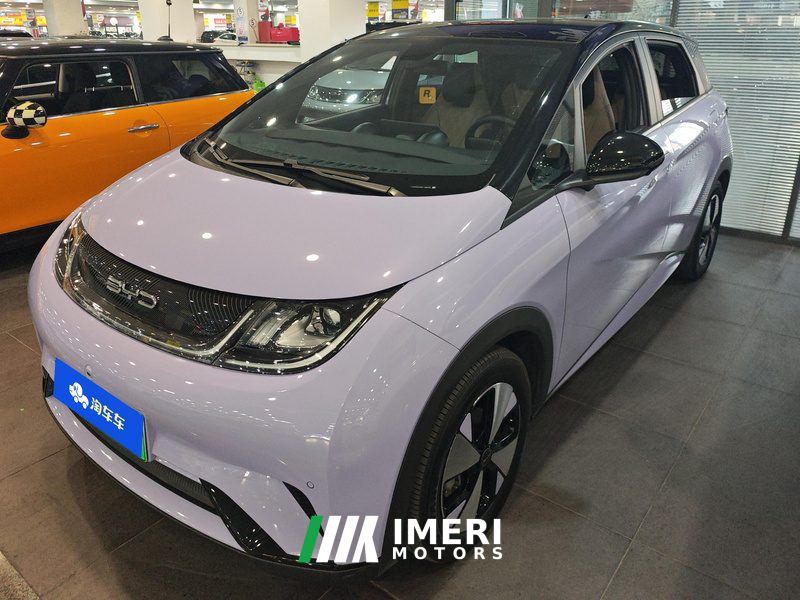 BYD Dolphin 420km Stylish Edition - ავტომობილი ჩინეთიდან