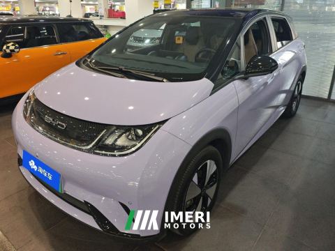 2023 BYD Dolphin 420km Stylish Edition - ავტომობილი ჩინეთიდან
